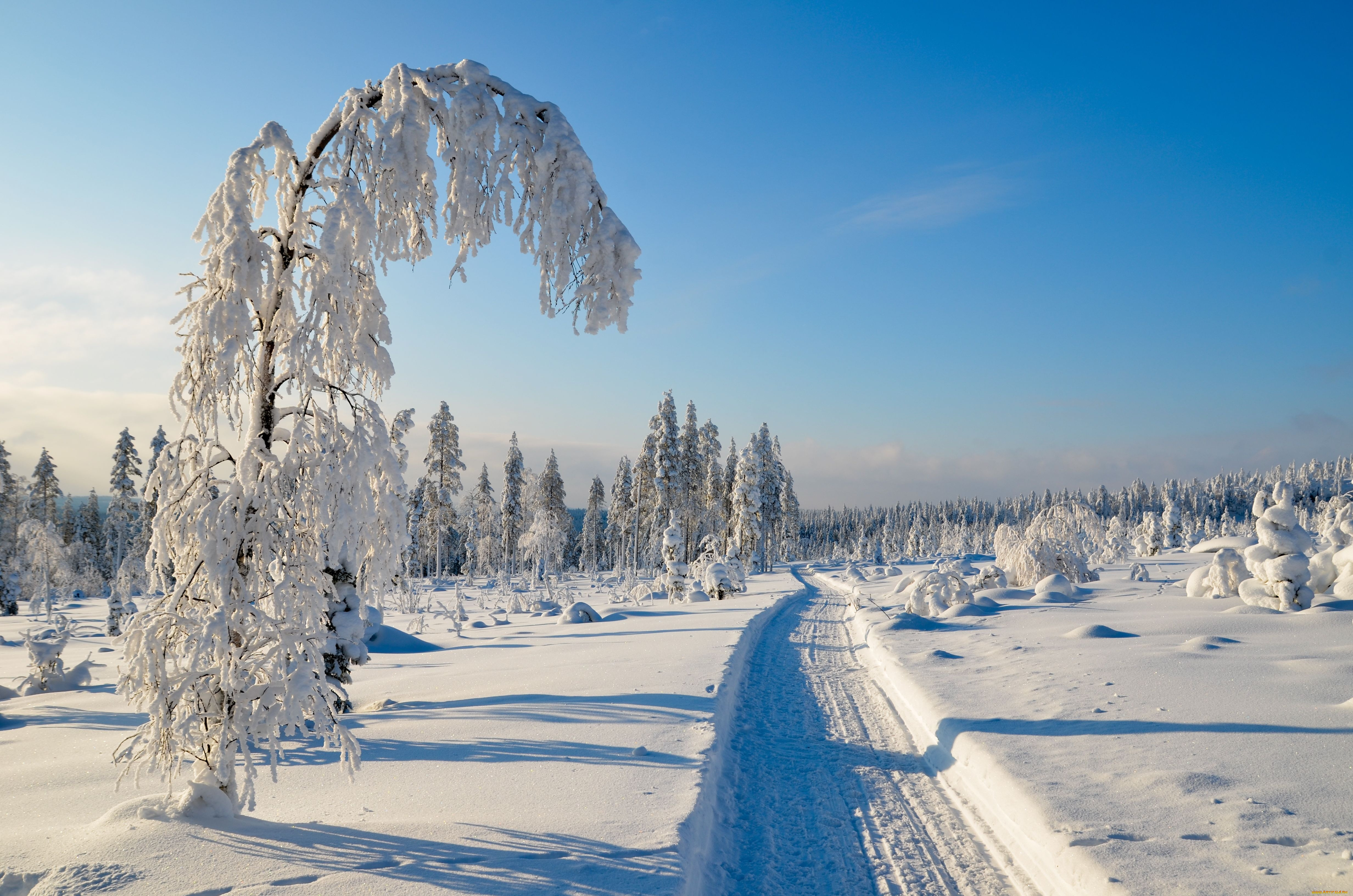 Картинка зимний период. Зимняя природа. Красивая зима. Зима пейзаж. Фотографии зимы.